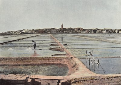 The Saltworks of Capo d